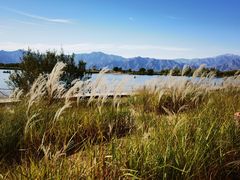 -野鸭湖国家湿地公园