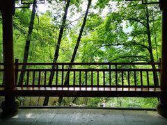 -藏龙百瀑风景区