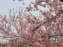 -苏州上方山国家森林公园