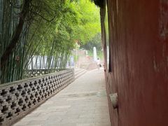 -照金香山旅游景区