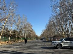 -北京鸿华高尔夫练习场