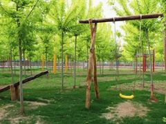 -遇见世外桃源教育农场