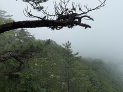 -罗田薄刀峰风景区