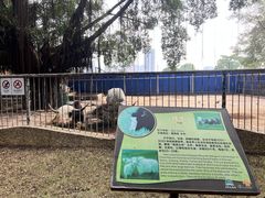 -南宁市动物园