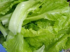 -吉品莞家·鲍鱼鸡煲(东莞店)