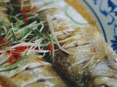 清蒸白丝鱼-状元楼(金溪路店)