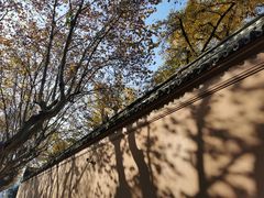 -苏州文庙(姑苏区)