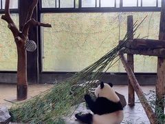 -野生动物园-停车场