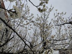 -国际非物质文化遗产博览园