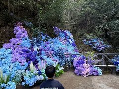 -龙湾潭国家森林公园