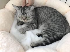 -白夜2D咖啡馆