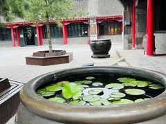 -慈恩寺
