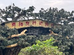 -西安秦岭野生动物园