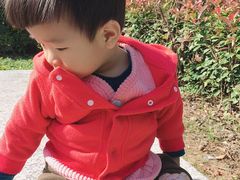 -黑马眼科·近视手术