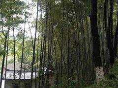 -石燕湖生态旅游景区