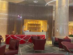 -南京禄口机场雅高铂尔曼大酒店