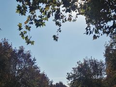 -南京钟山宾馆(江苏省会议中心)
