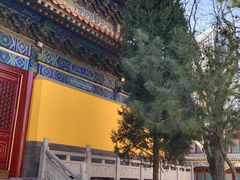 -挂甲禅寺