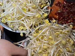 -阳阳老火锅(小南门店)