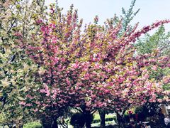 -秦始皇兵马俑博物馆-停车场