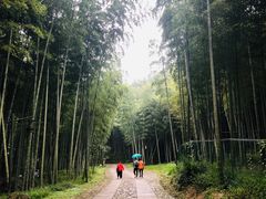 -黄公望隐居地