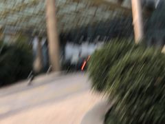-上海外滩茂悦大酒店