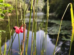 -小格里自然风景区
