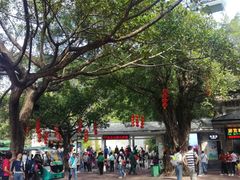 -白云山风景名胜区