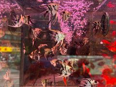 -沃尔玛购物广场(中山店)