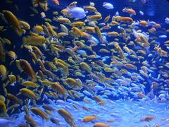 -成都浩海立方海洋公园