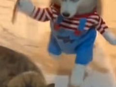 -袁大头包子(光华路店)