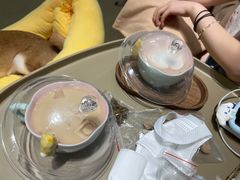 -逗柴咖啡屋·狗咖猫咖宠物桌游