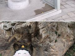 -广州市白云山风景名胜区