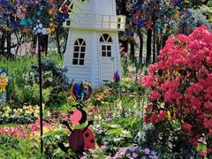 -上海共青森林公园