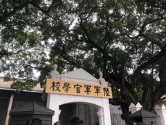 -长洲岛