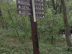 -云龙山