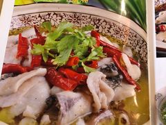 -双流老字号董蹄花(机场南四路店)