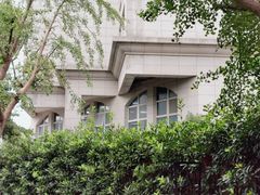 -上海市普陀区中心医院