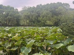 -兰亭风景区