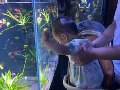 -北京市邮政管理局海慧寺幼儿园