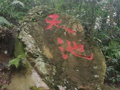 -青龙山国家森林公园