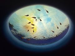 -欢乐海岸海洋奇梦馆