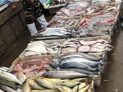 -毕家疃综合市场
