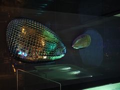 -漫·汤泉
