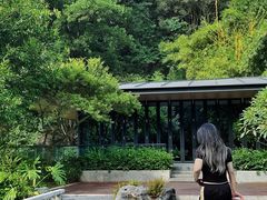 -云溪植物园