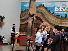 -自贡恐龙博物馆