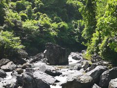 -石台牯牛降景区