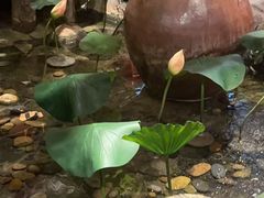 -醉小酒馆·川菜·江湖菜·重庆菜(观音桥旗舰店)