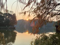 -深圳仙湖植物园