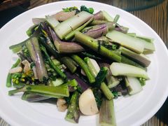清炒红菜苔-湖南人家·家传湖南菜(水围店)